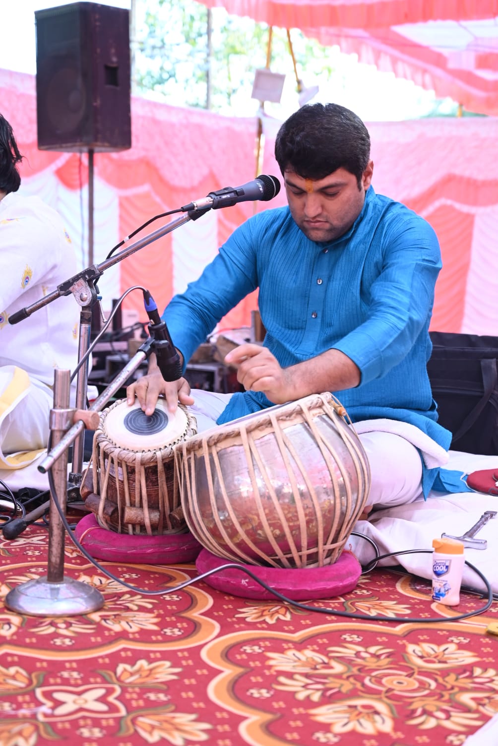 Krunal N Jani